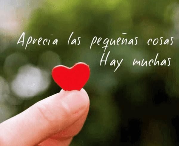 Apreciando lo que tenemos