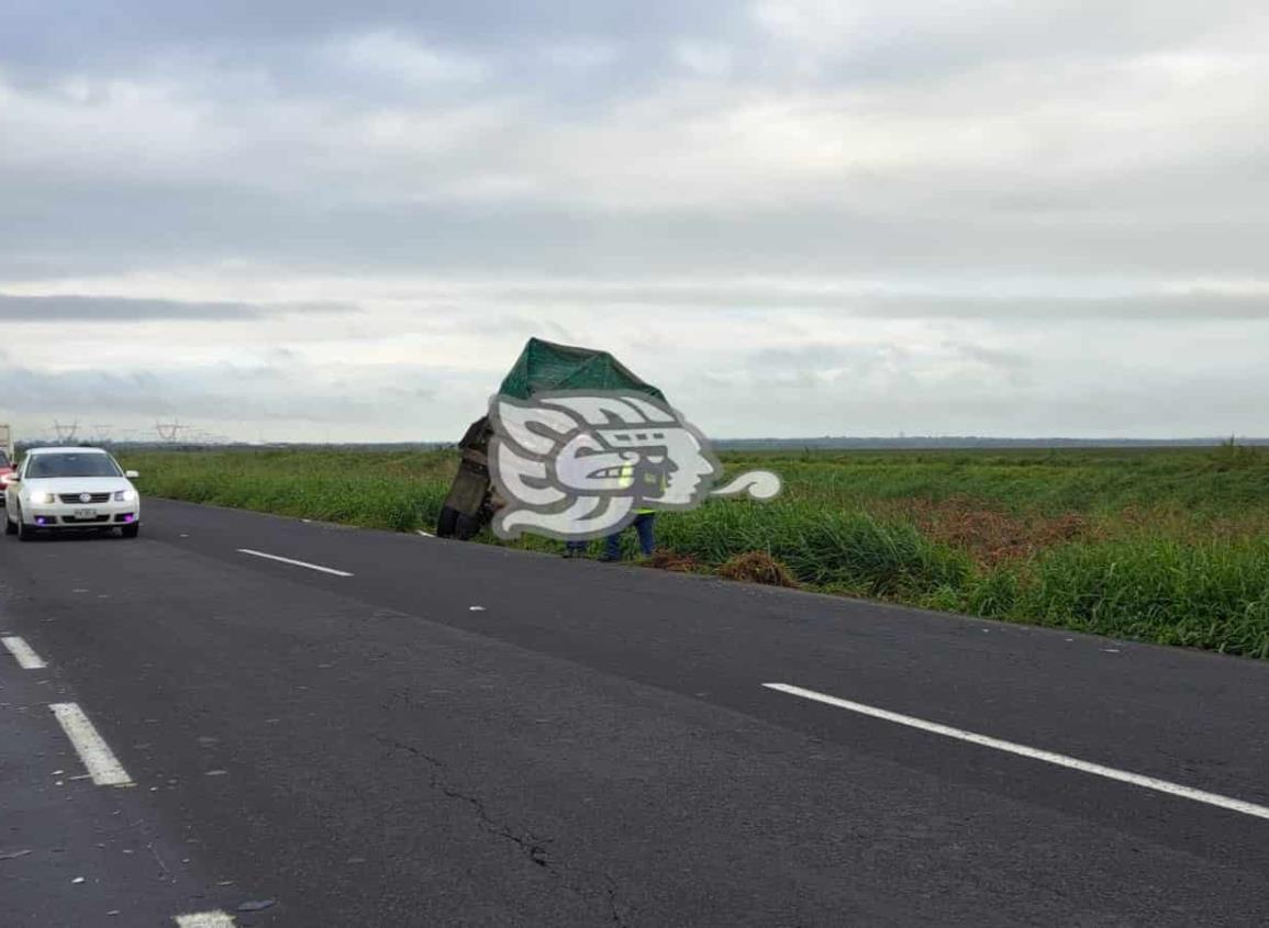 Se accidenta tractocamión y termina fuera de la carretera Transistmica