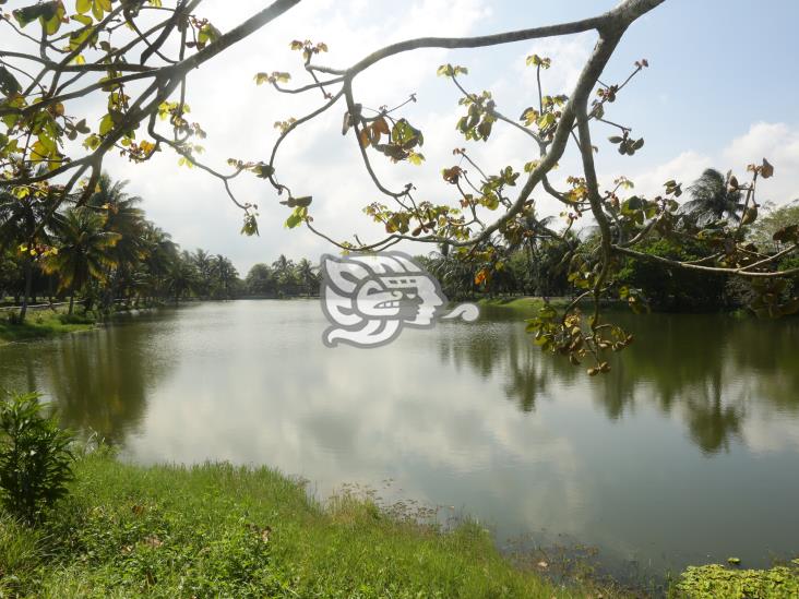 Urgen rescate al parque La Alameda; pasillos encharcados y llenos de basura