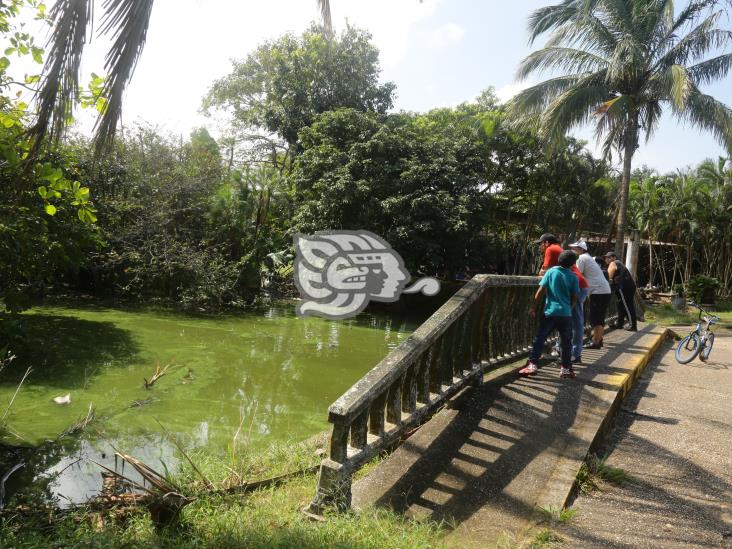 Urgen rescate al parque La Alameda; pasillos encharcados y llenos de basura