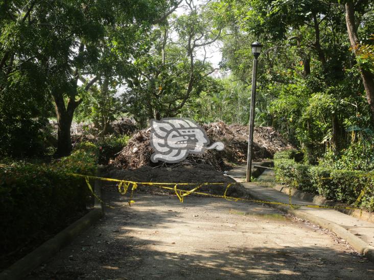 Urgen rescate al parque La Alameda; pasillos encharcados y llenos de basura