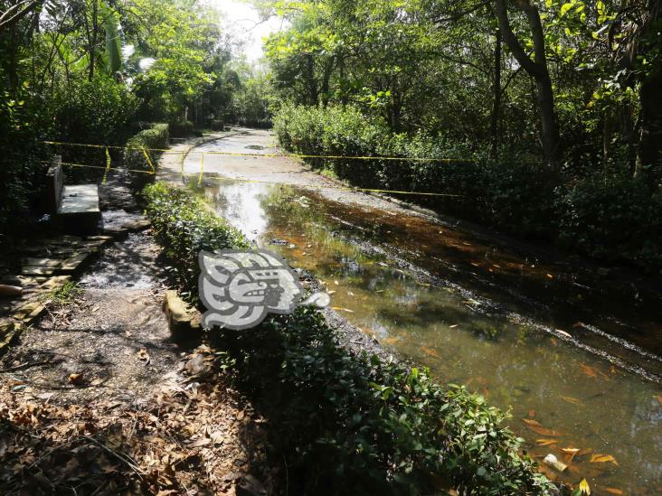 Urgen rescate al parque La Alameda; pasillos encharcados y llenos de basura