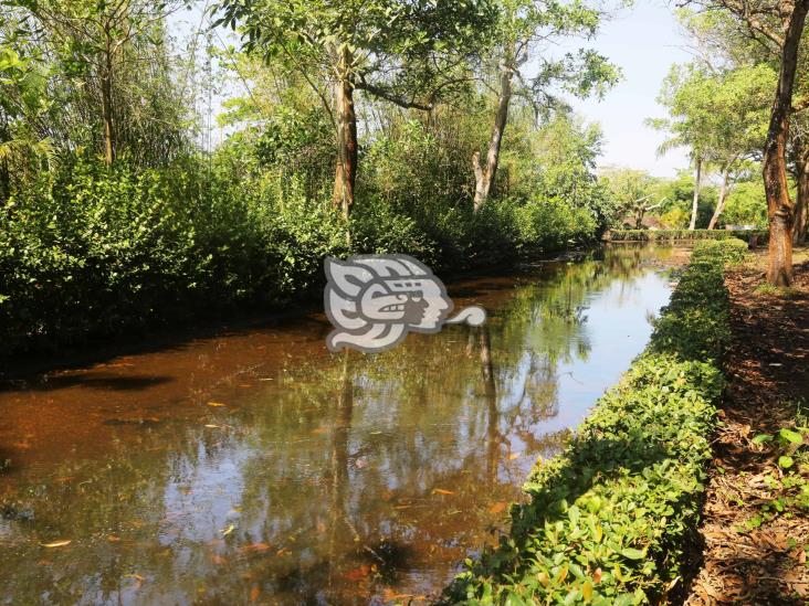 Urgen rescate al parque La Alameda; pasillos encharcados y llenos de basura