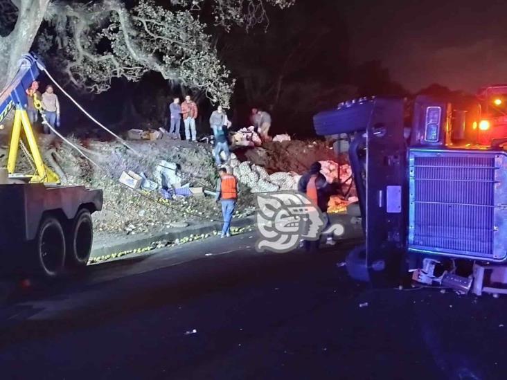 Camión de carga sufre volcadura en la Puebla-Orizaba