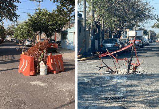Con arbolito de Navidad, señalizan hoyos en calle de Veracruz