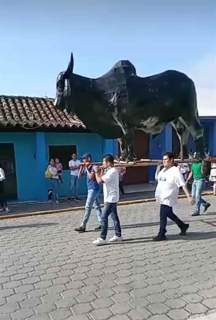 Participan cientos de niños en la Mojiganga Infantil, previo a las fiestas de la Candelaria