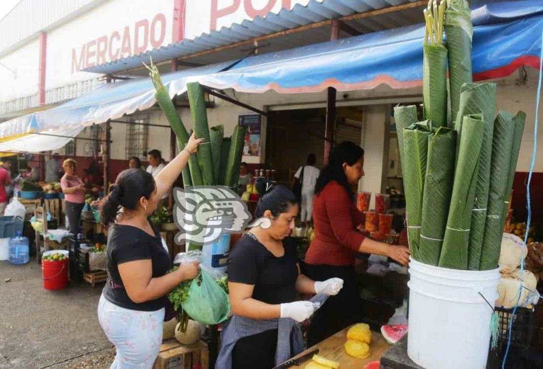 Se dispara el precio de las hojas de plátano para tamales en Veracruz