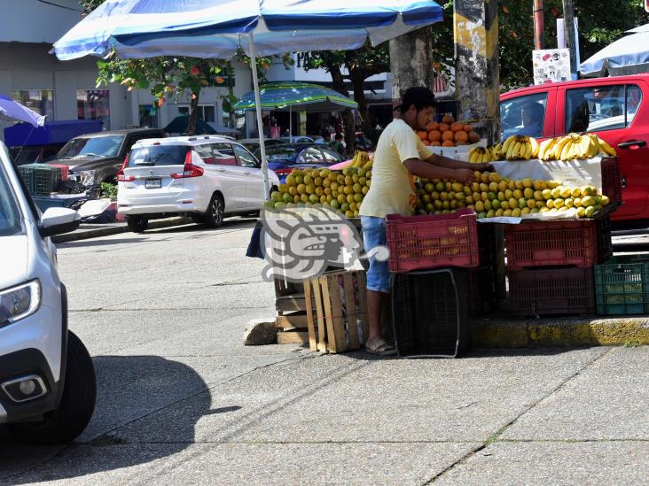 Carretilleros vuelven a obstruir paso de transeúntes en el Centro