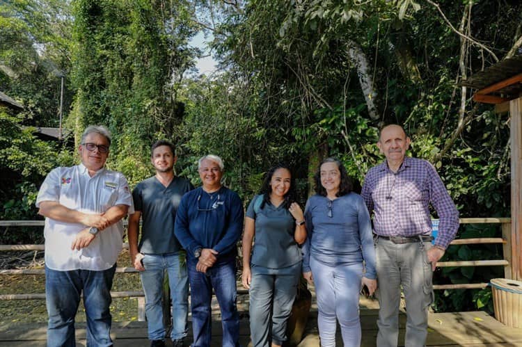 Buscan Aquarium y Reserva de Nanciyaga el rescate de la guacamaya roja