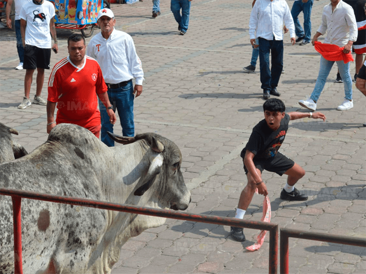 Inician las fiestas de la Candelaria en Tlacotalpan con el embalse de toros(+Video)