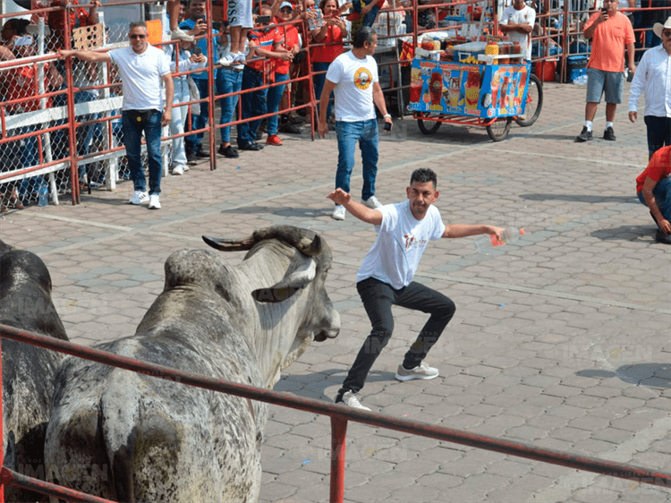 Inician las fiestas de la Candelaria en Tlacotalpan con el embalse de toros(+Video)