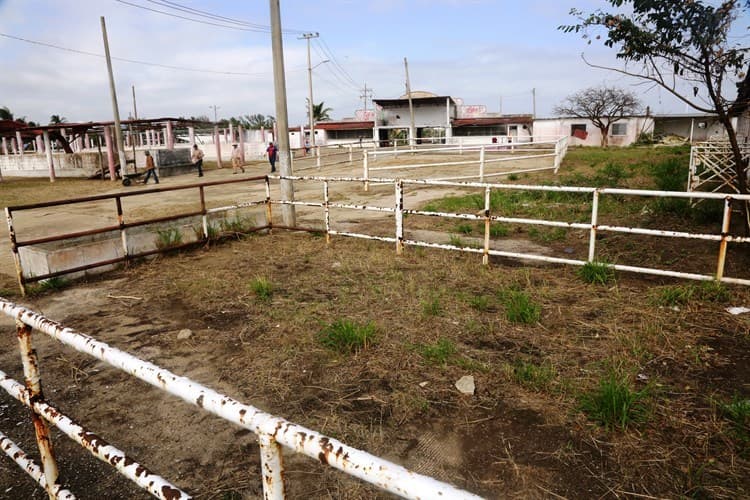 A finales de marzo quedaría lista la Expo Coatza; limpieza al 70% (+Video)