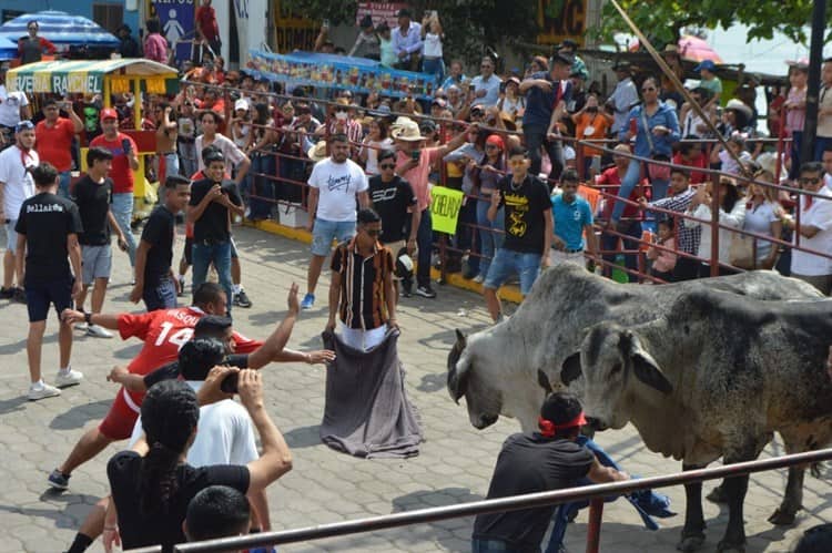 Se divierten con desconcertados y temerosos toros en Tlacotalpan