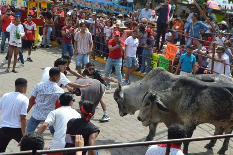 Se divierten con desconcertados y temerosos toros en Tlacotalpan