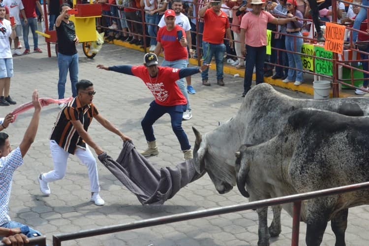 Se divierten con desconcertados y temerosos toros en Tlacotalpan