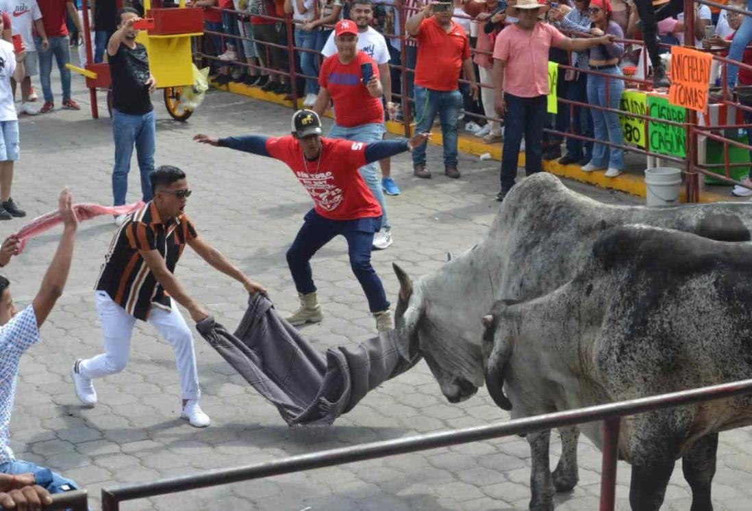 Detectan violaciones a Ley de Protección Animal en Tlacotalpan