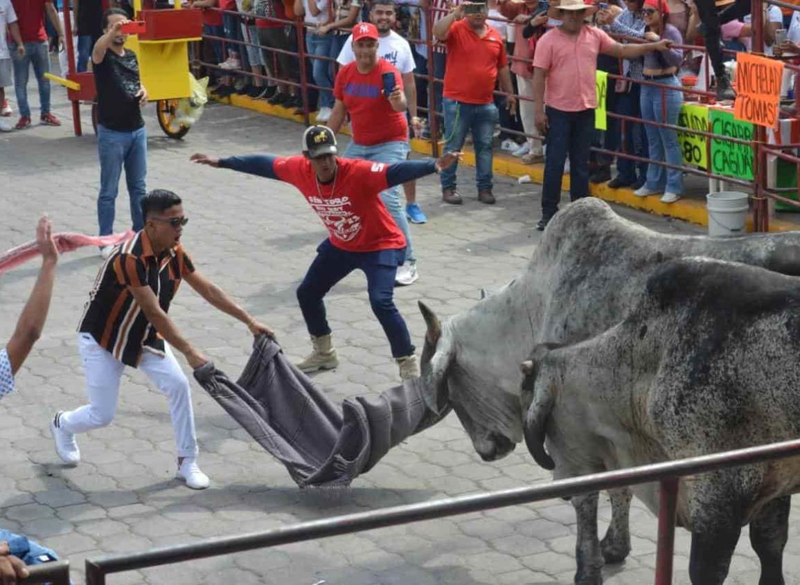 “No puede haber cultura a base del maltrato, condenan encierro de toros en Tlacotalpan