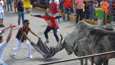 “No puede haber cultura a base del maltrato, condenan encierro de toros en Tlacotalpan