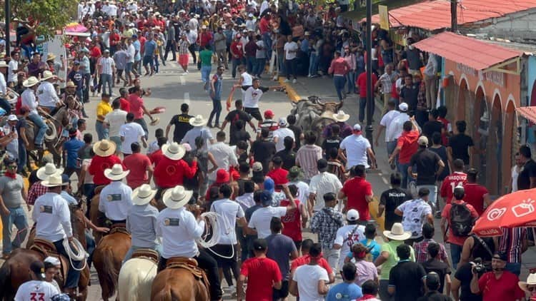 Se divierten con desconcertados y temerosos toros en Tlacotalpan