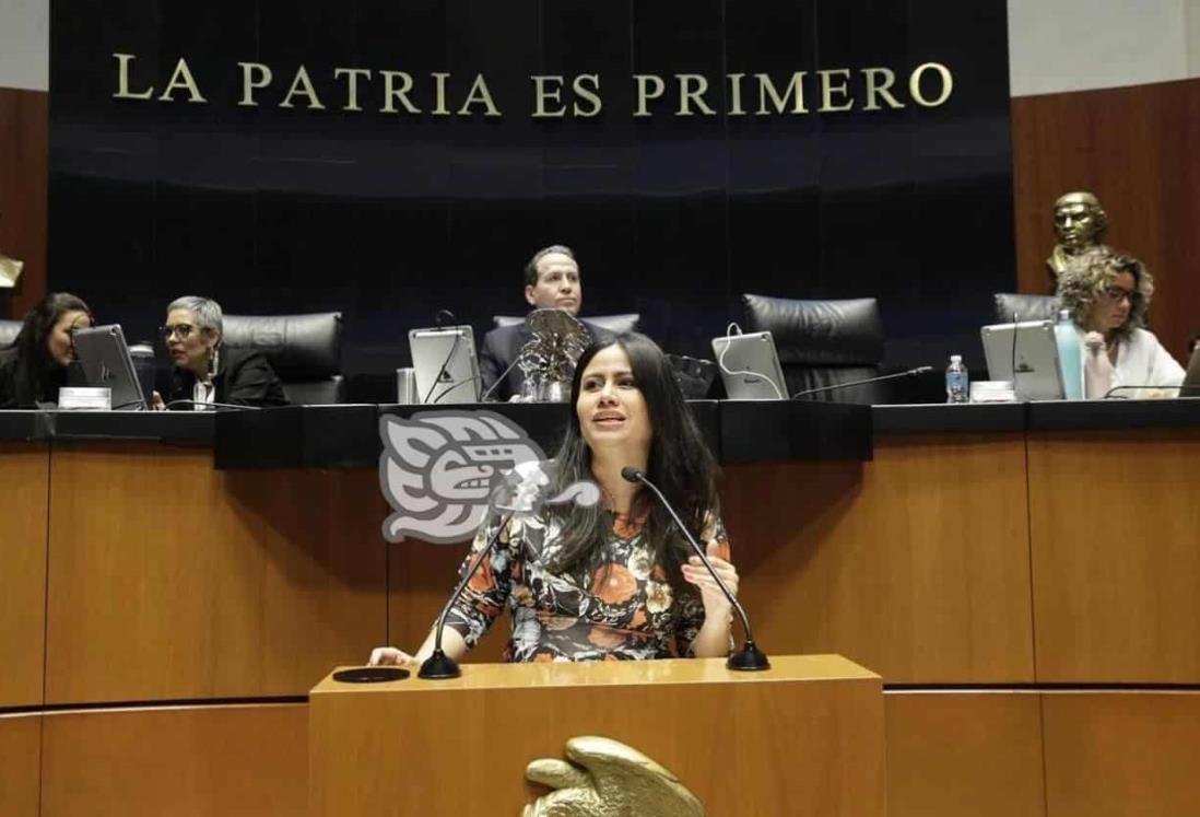 Presentan ante el Senado propuesta para crear ‘Registro Nacional de Agresores Sexuales’