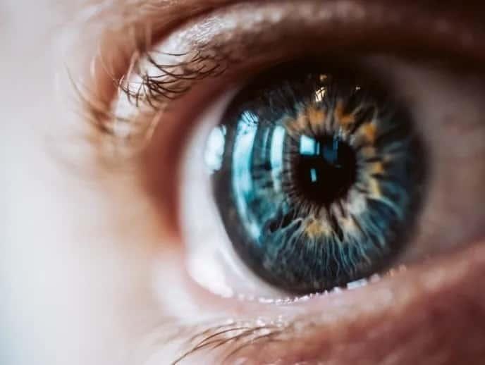 Retina, fuente potencial para diagnosticar alzhéimer