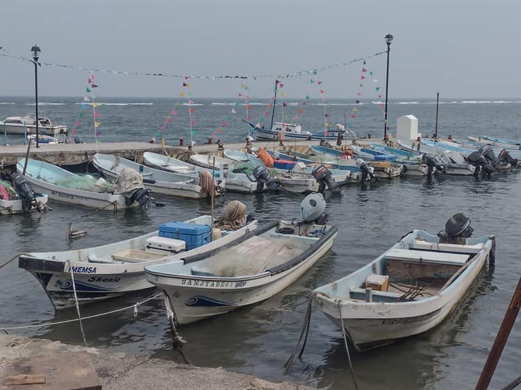 Pescadores deciden abandonar su oficio por falta de ingresos en Veracruz