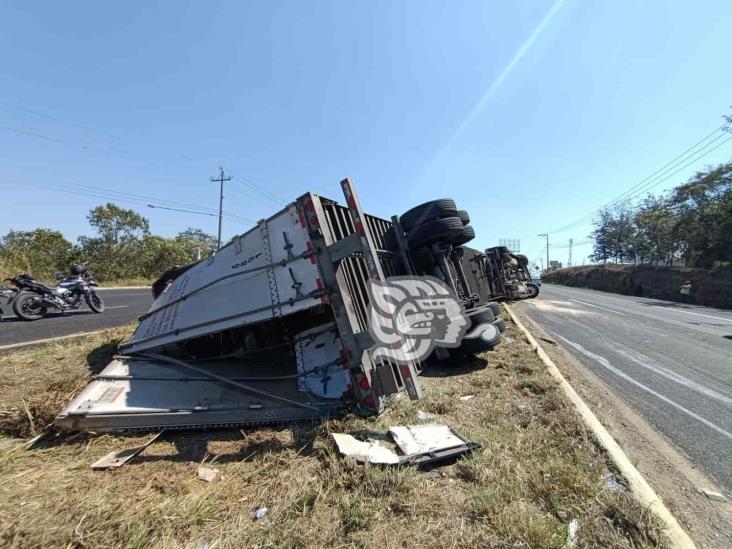 Tráiler cargado de leche en polvo volcó en la Xalapa-Veracruz