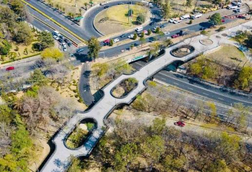 Piezas arqueológicas encontradas en bosque de Chapultepec datan de hace 4 mil años