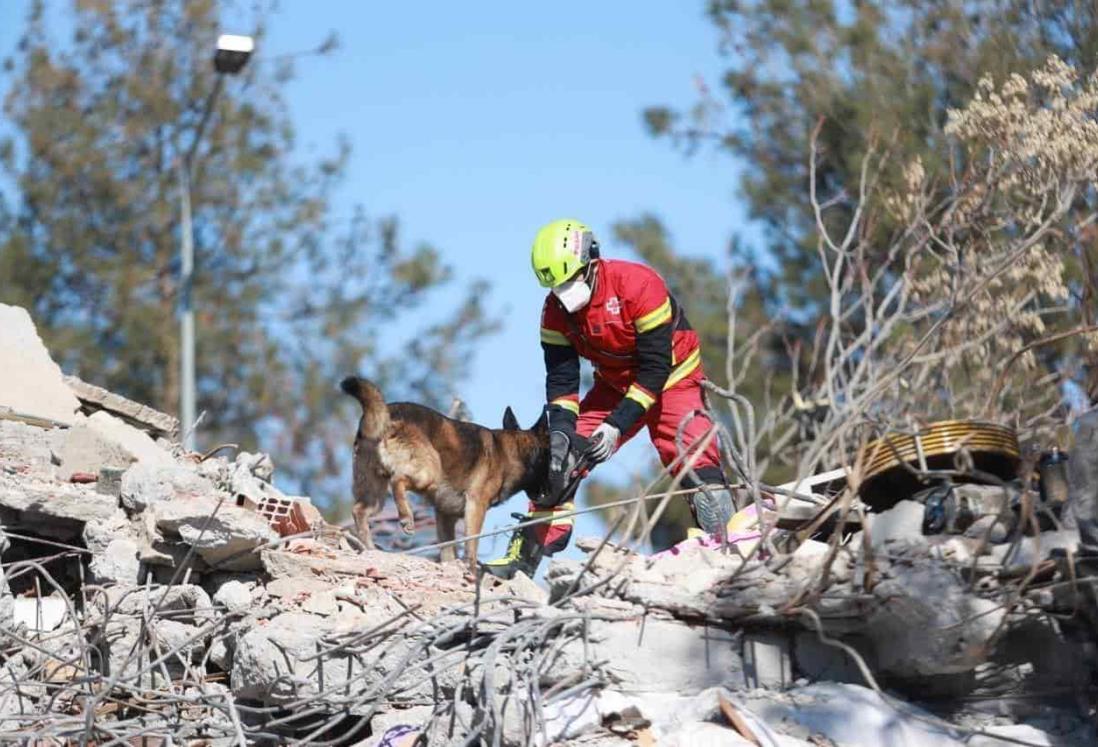 No hay mexicanos identificados entre víctimas de terremoto en Turquía, afirma SRE