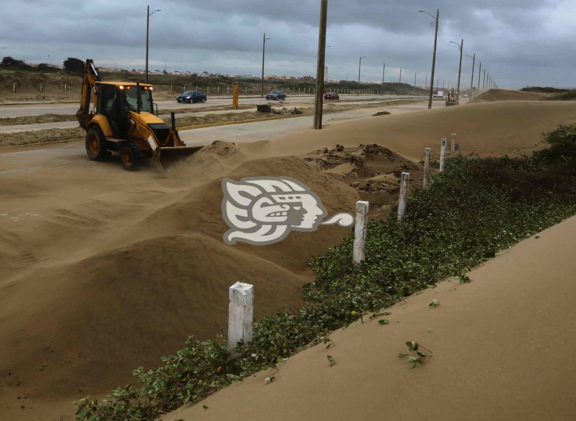 Coatzacoalcos sufre afectaciones por paso del FF 31, reportan caída de árboles, cableado y láminas