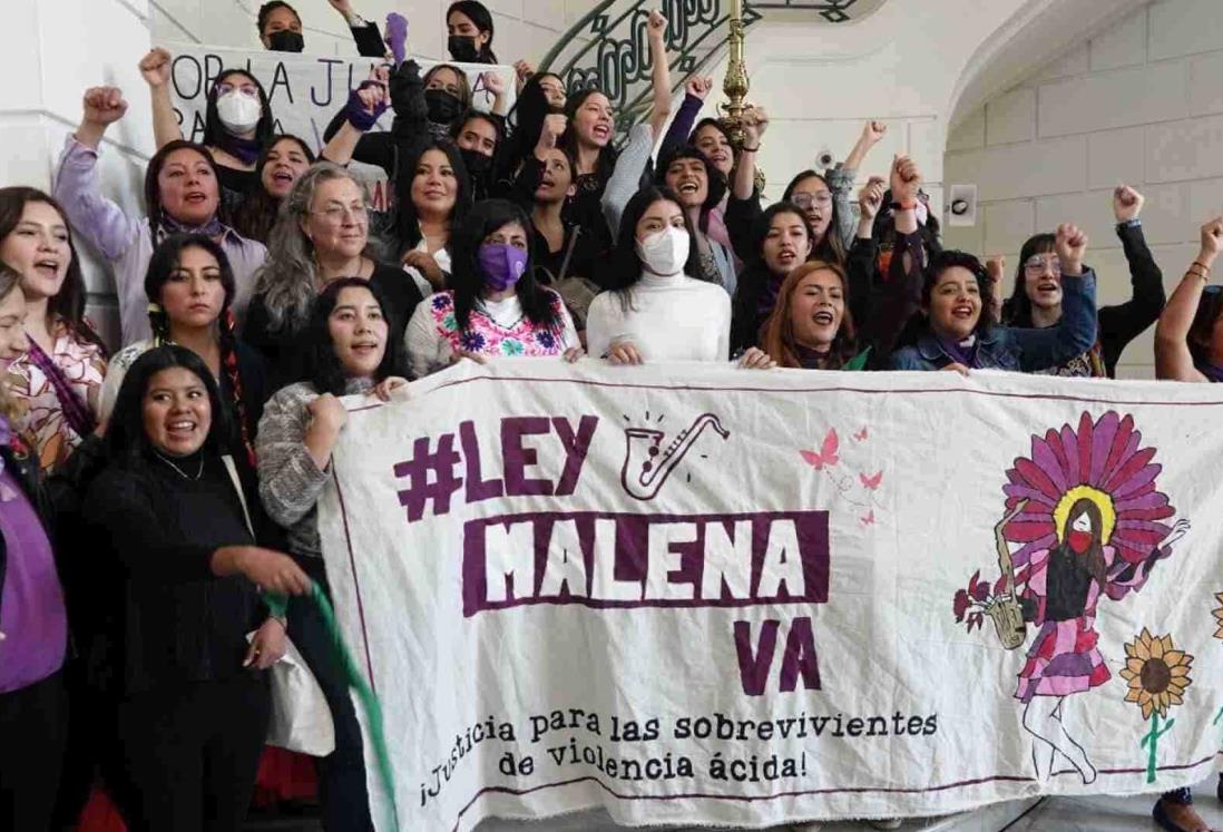 ¿Sabes en qué consiste la Ley Malena?