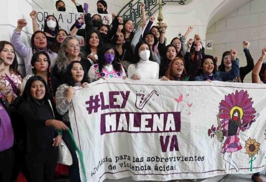 ¿Sabes qué es y en qué consiste la Ley Malena?