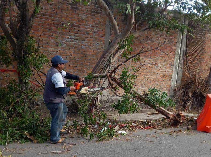 Láminas y cables caídos dentro de las afectaciones por Frente Frío 31 en Boca del Río 