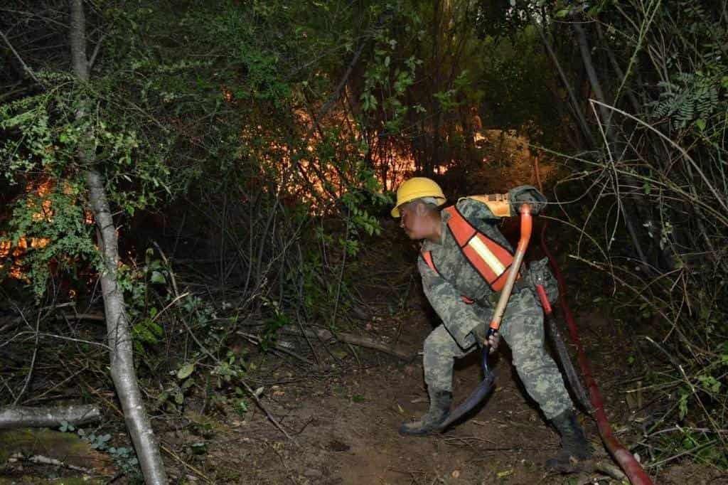 Brigadistas mexicanos han evacuado a más de 100 familias tras incendios forestales en Chile