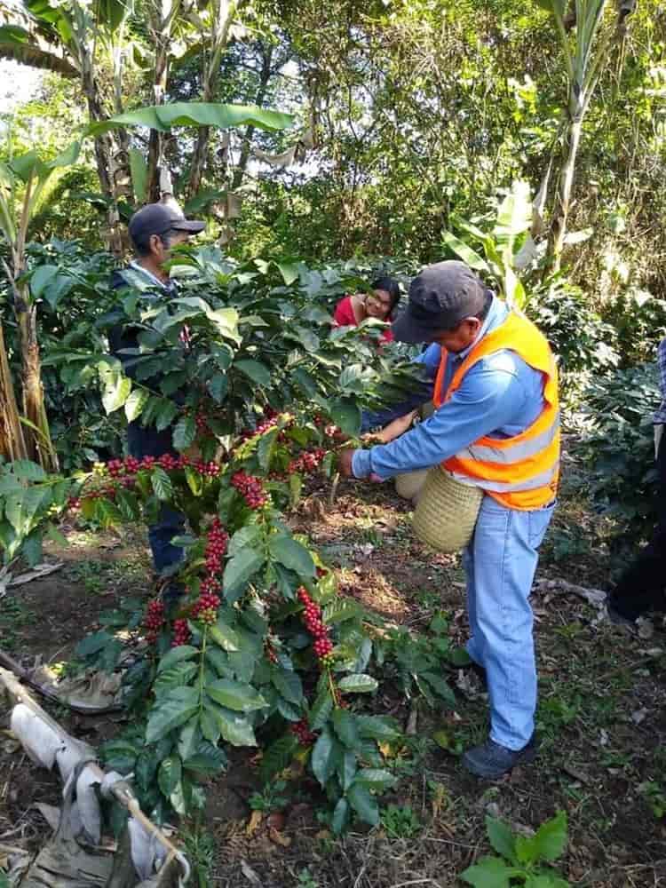 Productores rurales participarán en la segunda Expo Fertilizantes 2023 en Veracruz