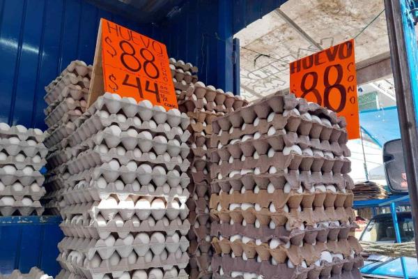 Veracruzanos optan por huevo de rancho tras alza en precios