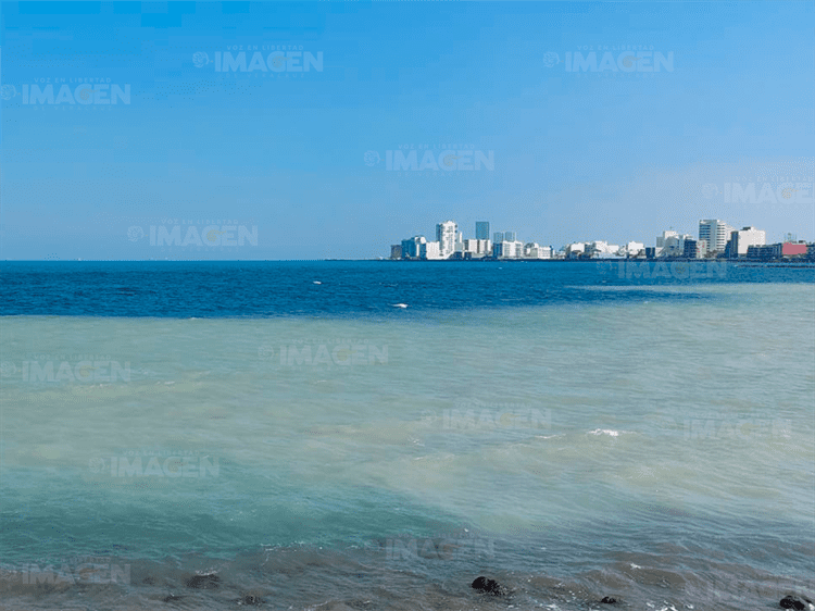 Sorprende a locales y turistas la tonalidad del mar en Veracruz(+Video)