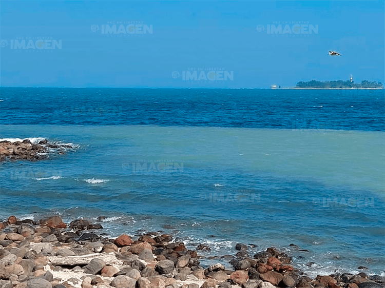 Sorprende a locales y turistas la tonalidad del mar en Veracruz(+Video)