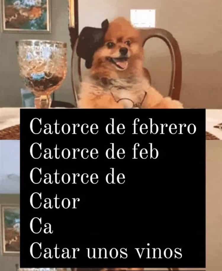 ¡Los mejores memes del Día de San Valentín!