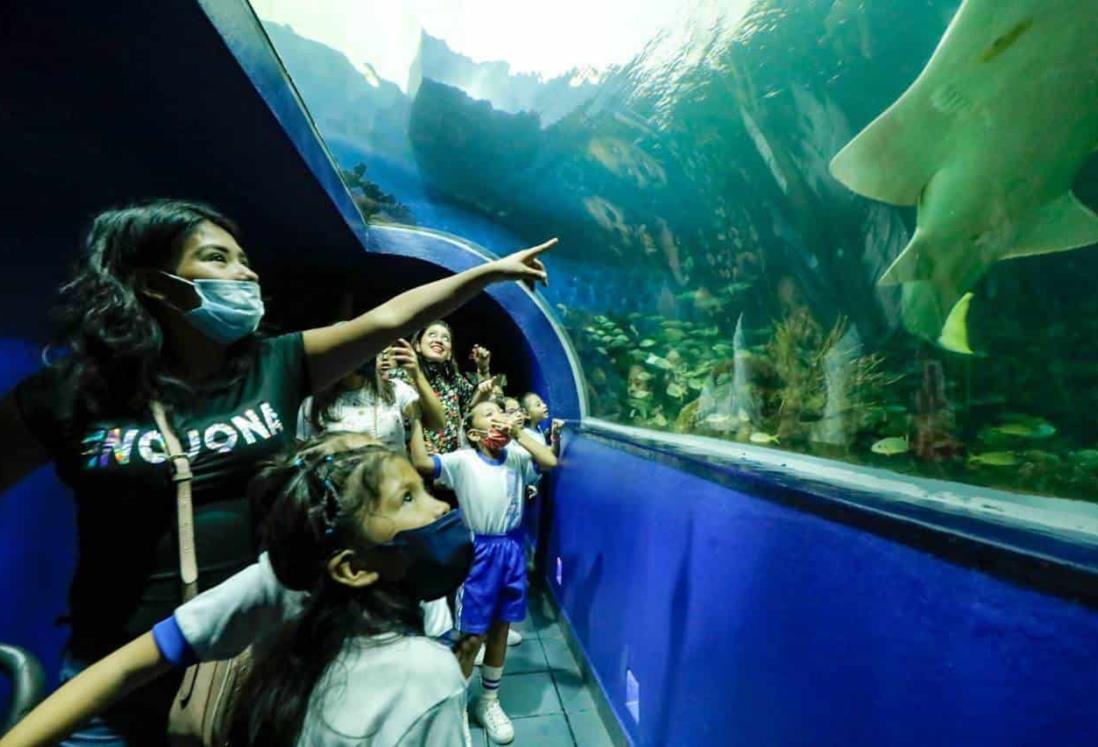 Más de 6 mil 800 visitaron este martes el Aquarium; la entrada fue gratuita