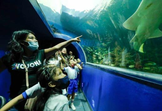 Más de 6 mil 800 visitaron este martes el Aquarium; la entrada fue gratuita