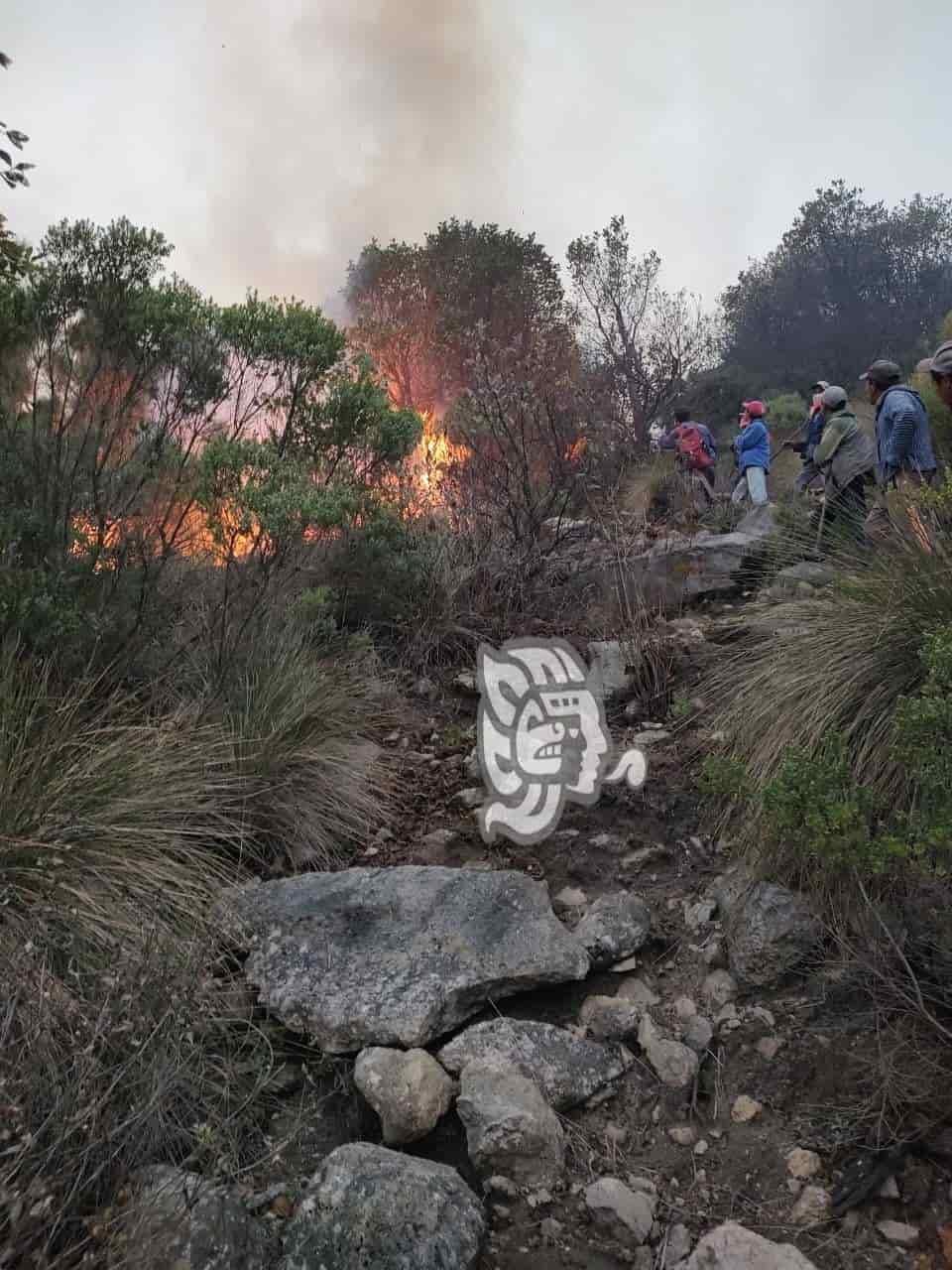 Control de incendio en el Cofre de Perote es del 75%: PC