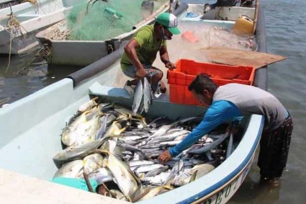 Pescadores inician con pie izquierdo la Cuaresma