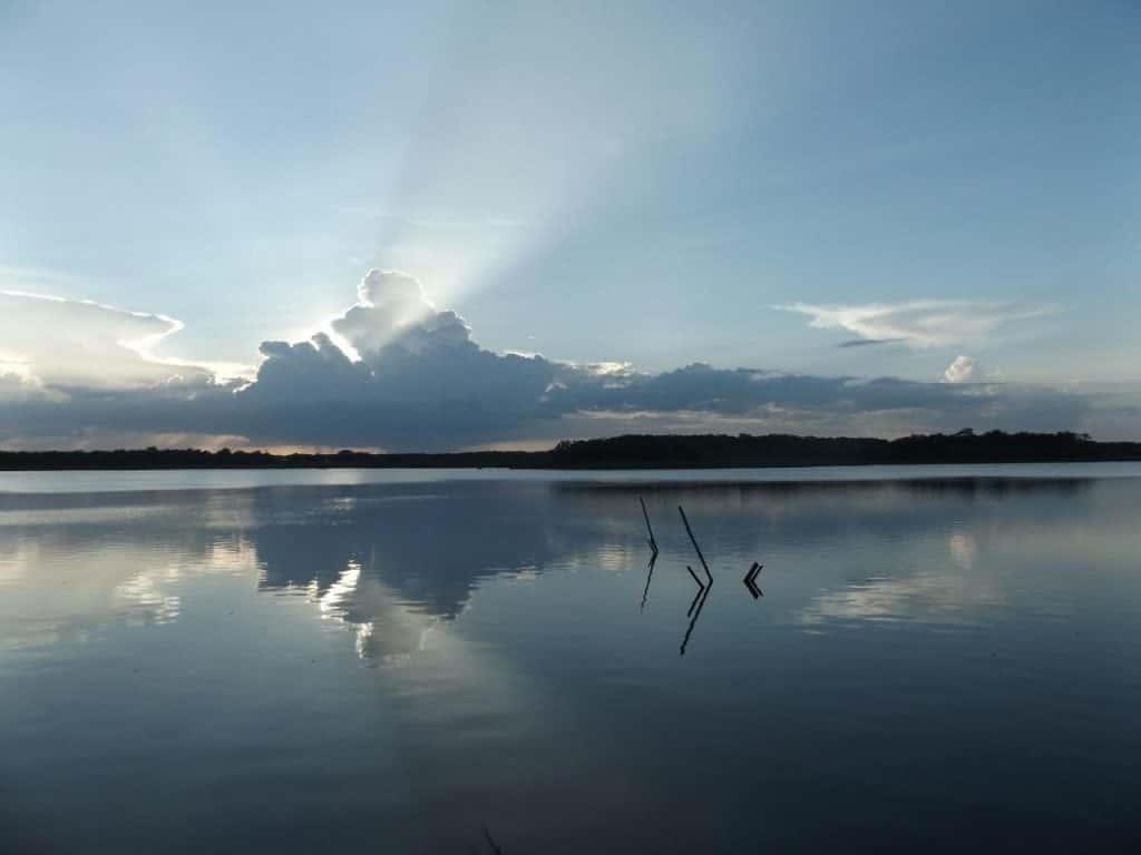 Mi visita terapéutica a Dziuché