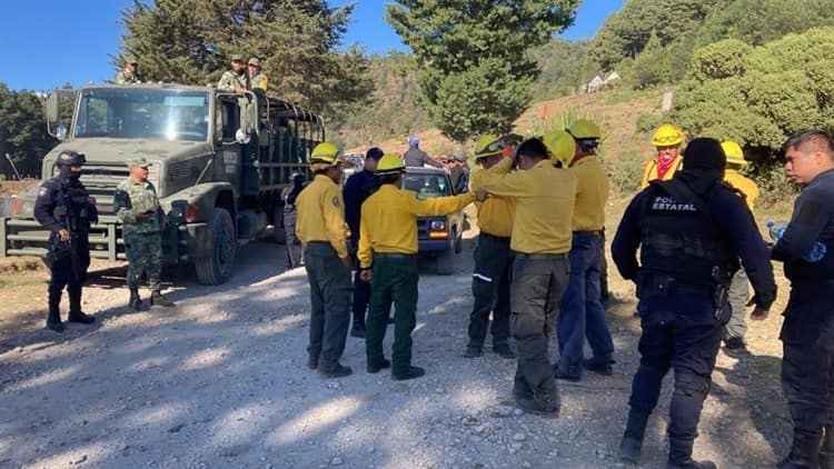 Activos 4 incendios simultáneamente en zona del Cofre de Perote