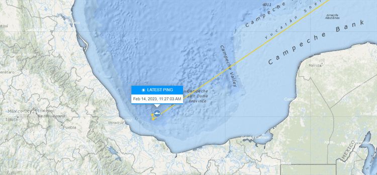 ¡Extraordinario!: Tiburón blanco nada cerca de Veracruz