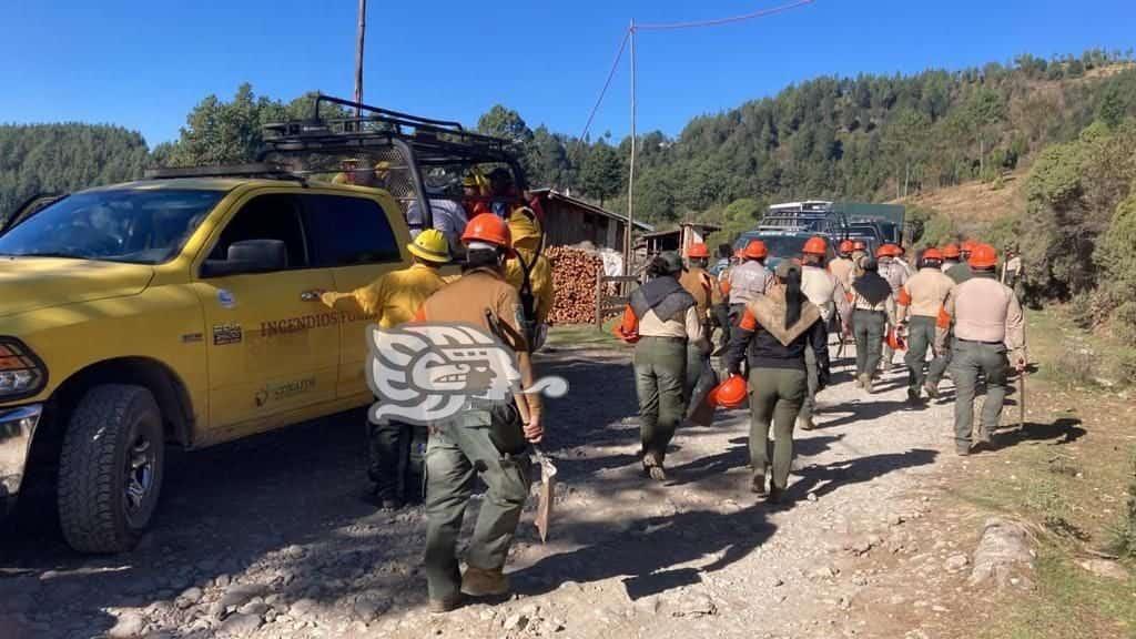 Activos 4 incendios simultáneamente en zona del Cofre de Perote