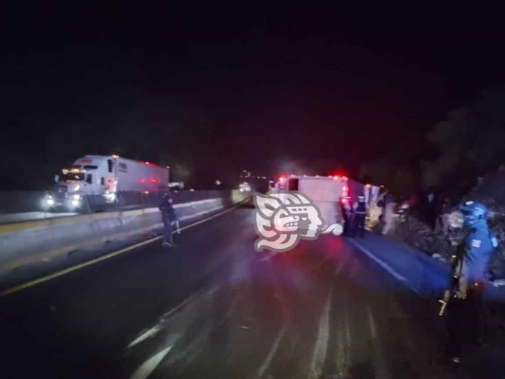 Vuelca tráiler cargado de ganado en la Orizaba-Puebla; rapiñeros roban mercancía