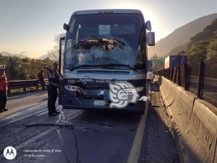 Carambola de autobuses paraliza la Orizaba-Puebla