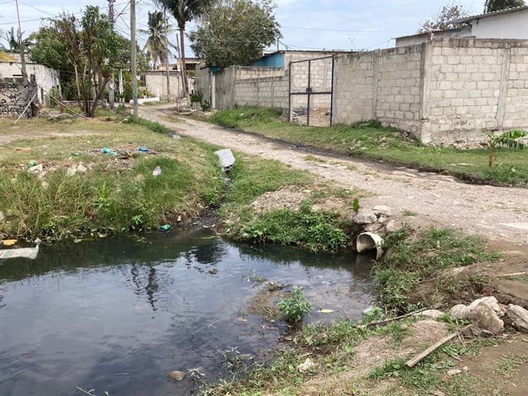 Vecinos de la colonia 24 de Junio viven en el olvido